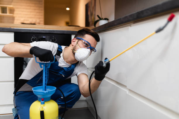 Professional Pest Control in Pleasanton, KS