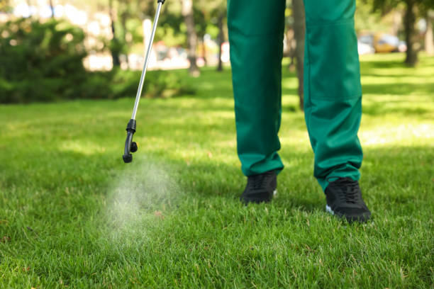 Best Cockroach Control Services  in Pleasanton, KS