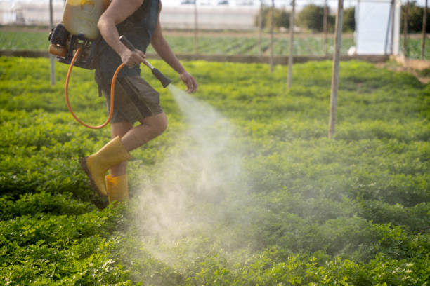  Pleasanton, KS Pest Control Pros