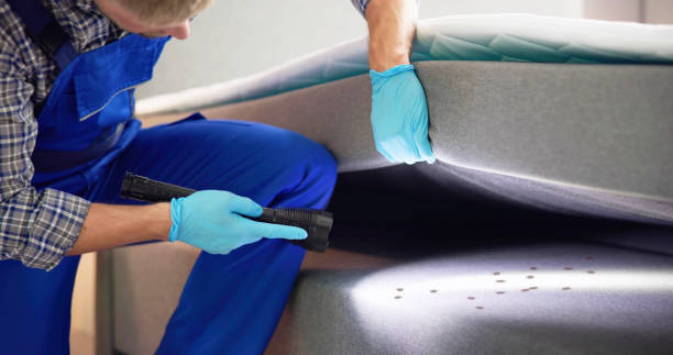 Best Rat Extermination Near Me  in Pleasanton, KS