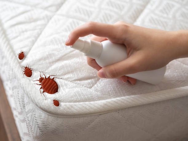 Best Affordable Pest Control Services  in Pleasanton, KS