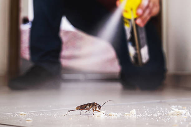 Best Pest Control Near Me  in Pleasanton, KS