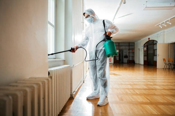 Best Flea Control Services  in Pleasanton, KS